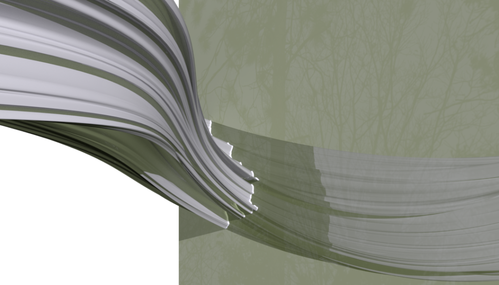 Edward S. Johnston by Edward S. Johnston