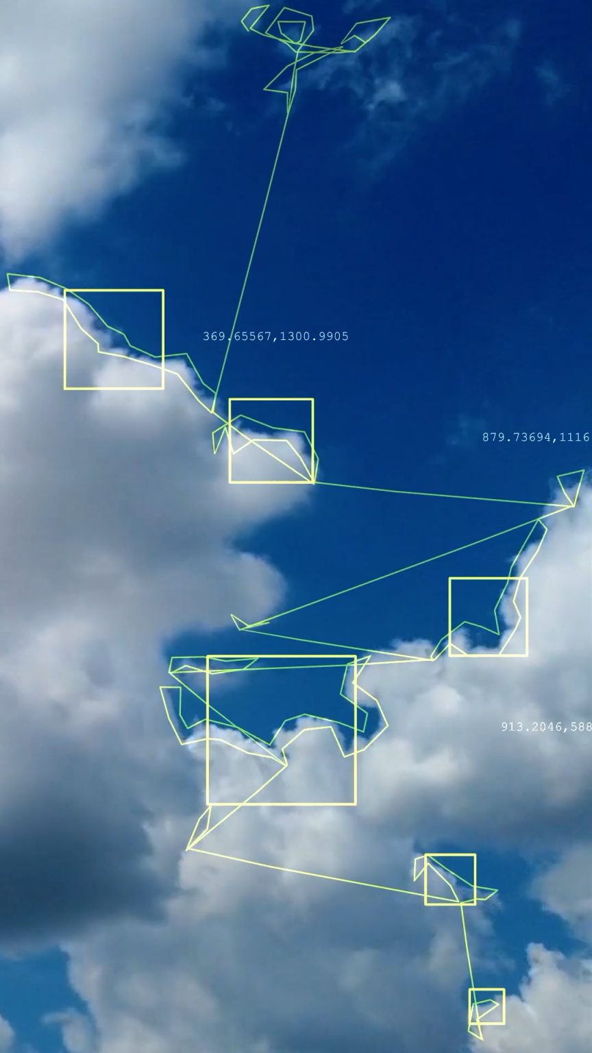 Damien Roach by Damien Roach