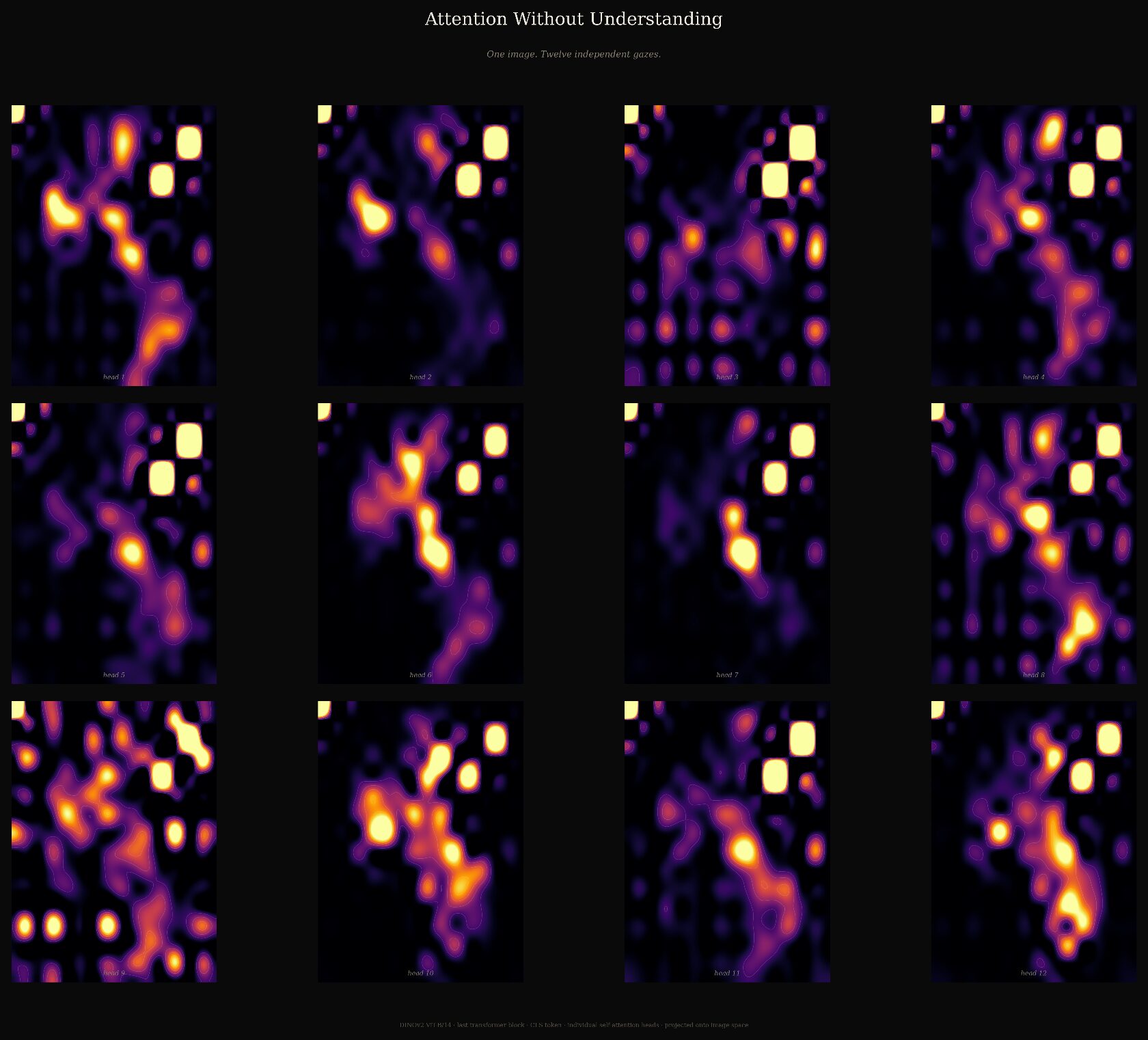 Output of twelve individual self-attention heads from the last transformer block of DINOv2.